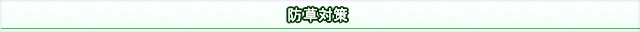 雑草対策